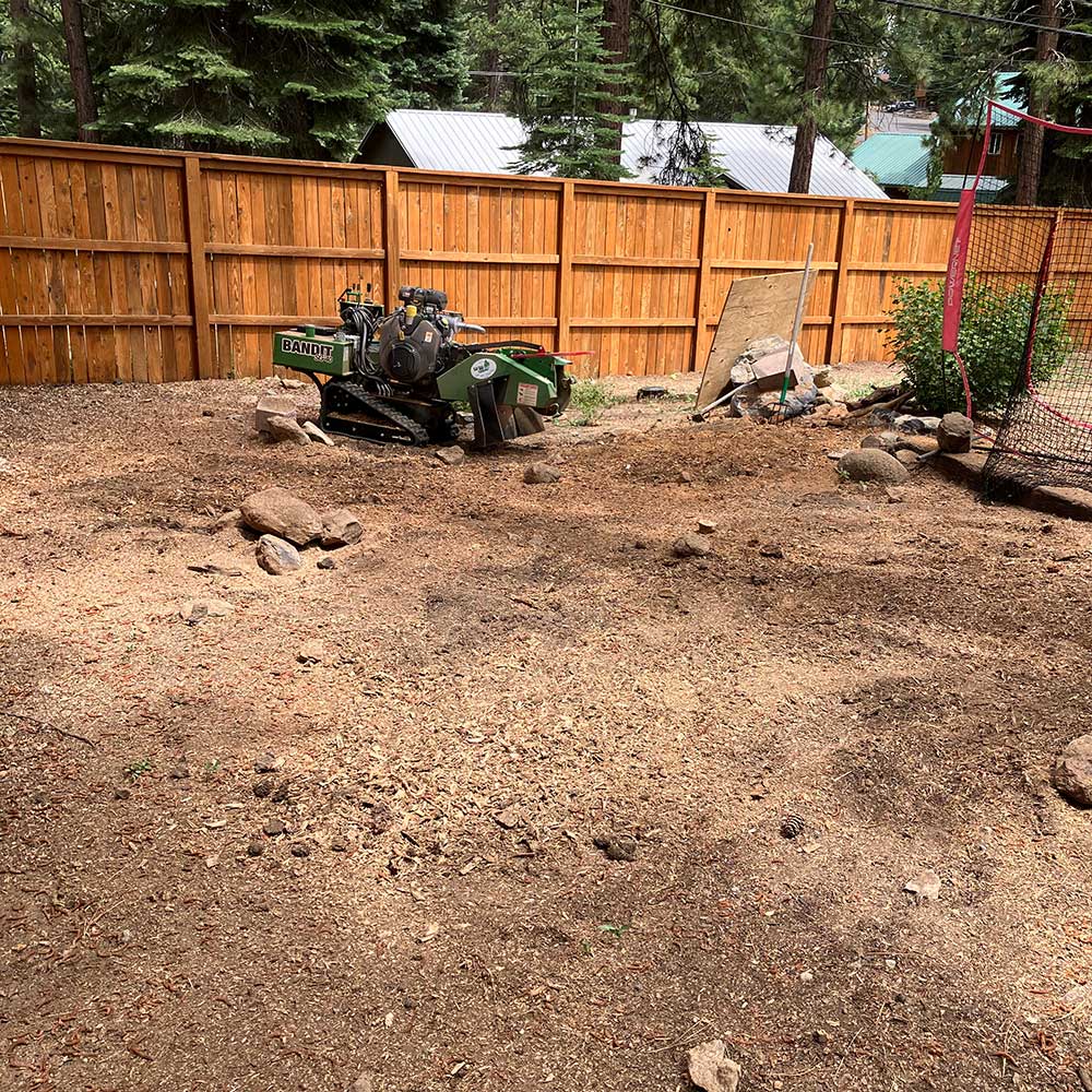 After Image of Stump Removal